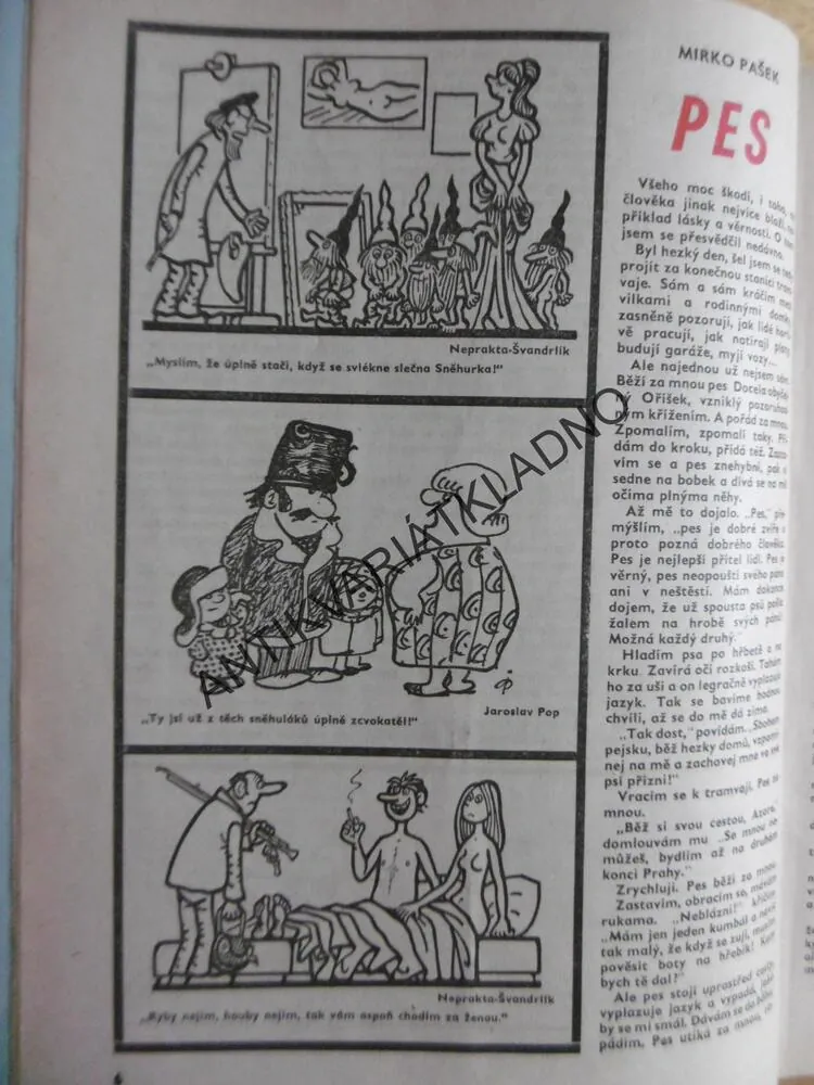 MAGAZÍN DIKOBRAZU