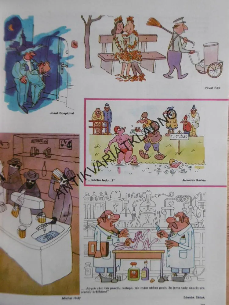 MAGAZÍN DIKOBRAZU, 3/89