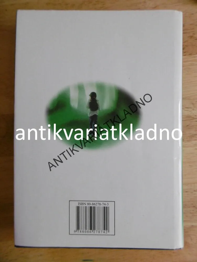 HOLČIČKA, KTERÁ MĚLA RÁDA TOMA GORDONA, STEPHEN KING, **an