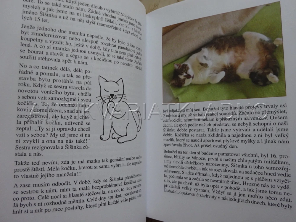 TO JE KOČKA, NAPSALA, MARKÉTA MATĚJKOVÁ, **an