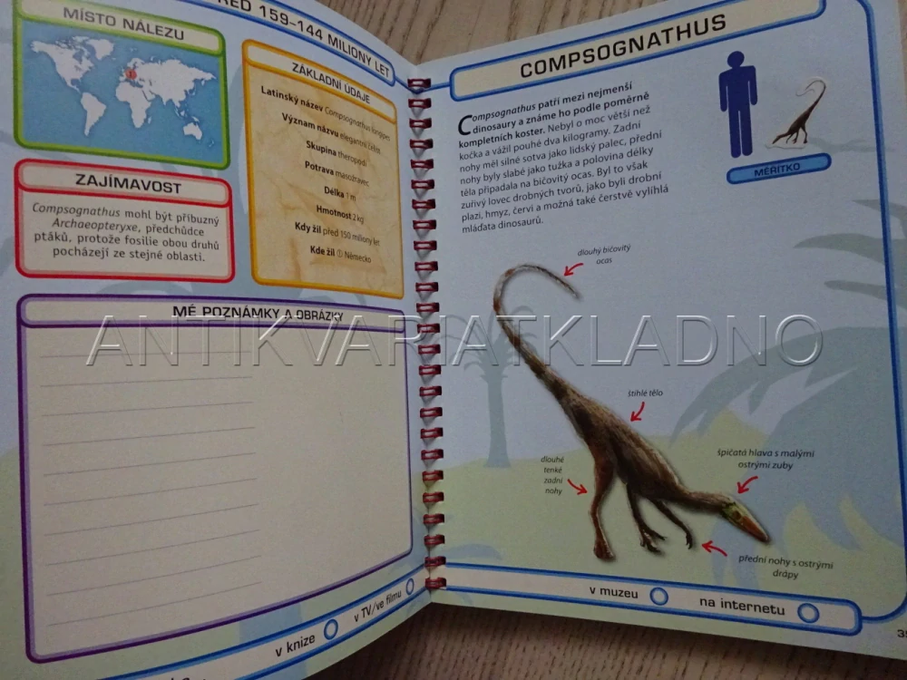 DINOSAUŘI, **an