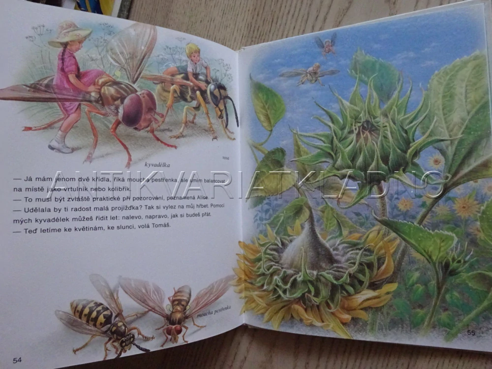 DOBRODRUŽSTVÍ TOMÁŠE A ALICE, **an