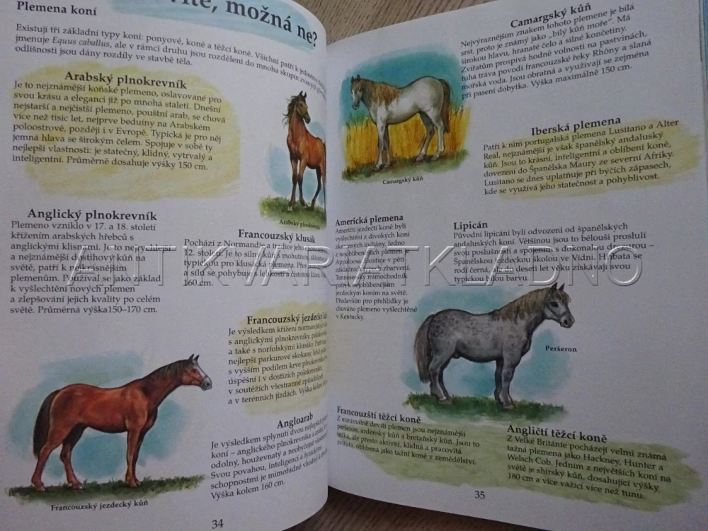 V ŘÍŠI KONÍ, KARINE LEFRANC, FRANCOISE LE GLOAHEC, PIERRE COURONNE, **an