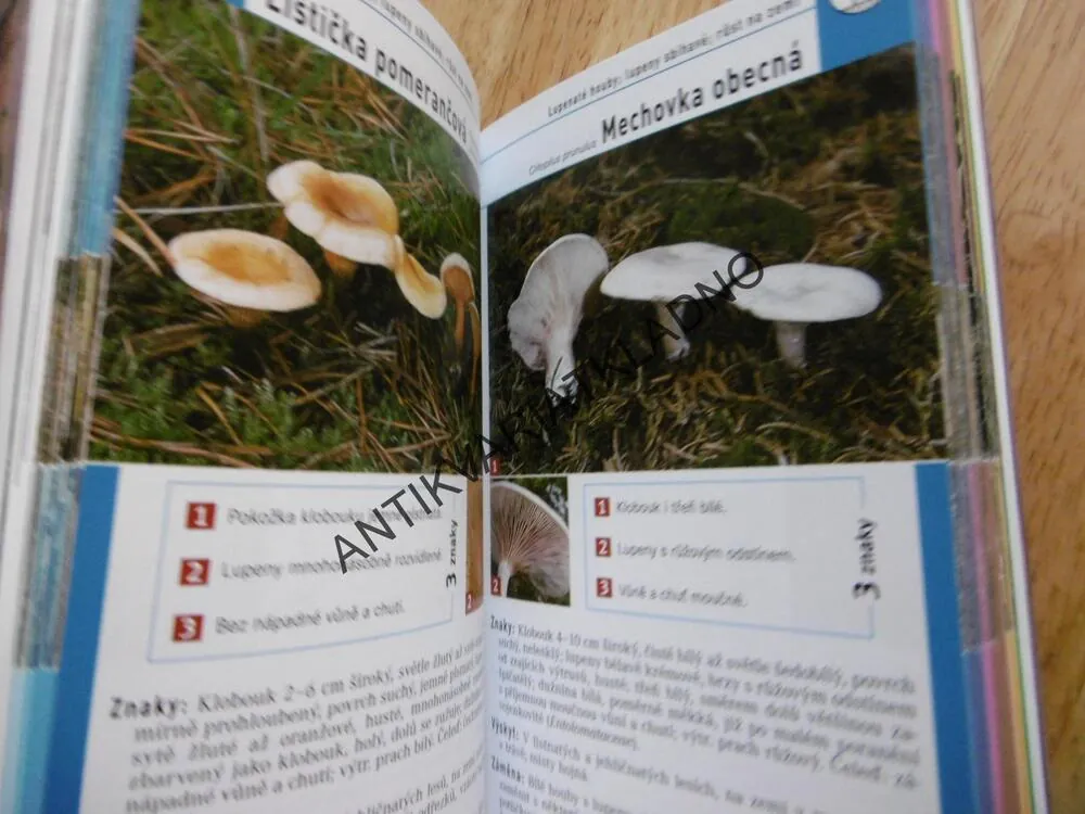 HOUBY, PRŮVODCE PŘÍRODOU, URČOVÁNÍ PODLE 3 ZNAKŮ, MYKOLOGIE, **an
