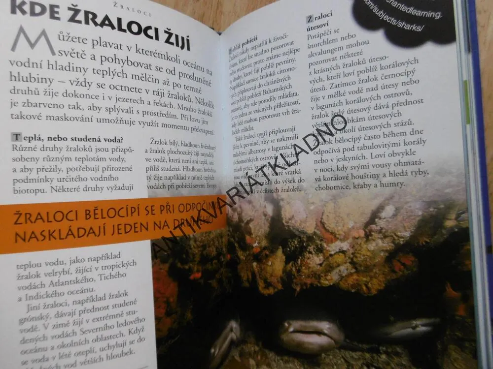 ŽRALOCI A JINÁ DĚSIVÁ MOŘSKÁ STVOŘENÍ, 