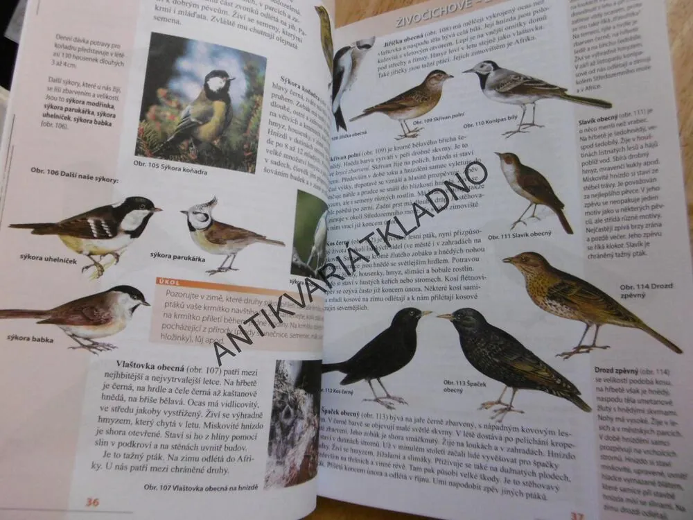 PŘÍRODOPIS 7. PRO ZŠ, ZOOLOGIE, BOTANIKA,