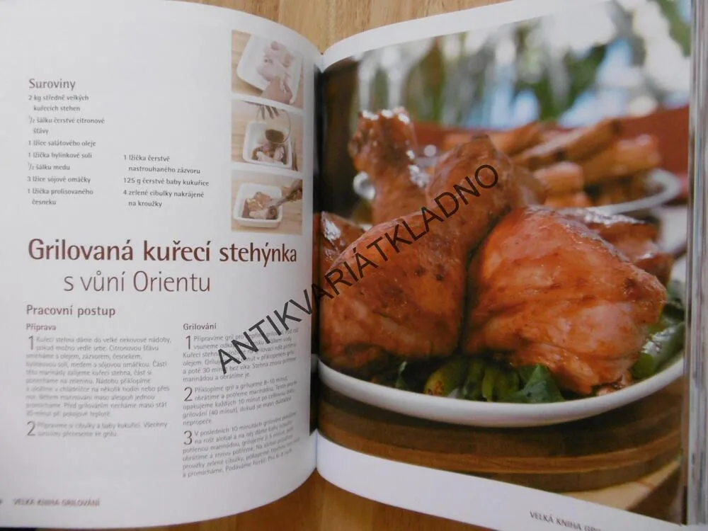 VELKÁ KNIHA GRILOVÁNÍ, NÁPADITÉ RECEPTY PRO KAŽDOU PŘÍLEŽITOST, **an