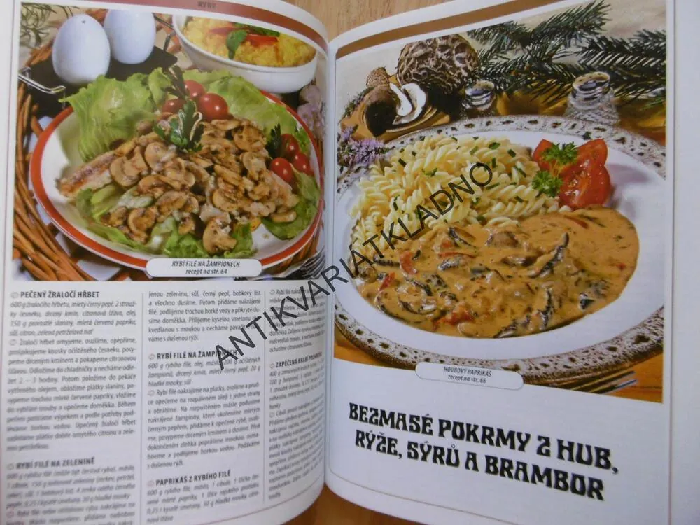 RECEPTY KUCHAŘKY SVATAVY, SVATAVA PONCOVÁ, **an