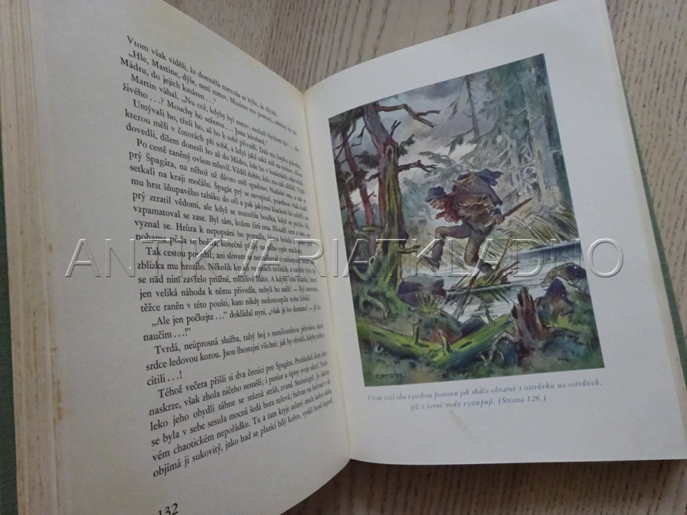 V SRDCI ŠUMAVSKÝCH HVOZDŮ, KAREL KLOSTERMANN, **an