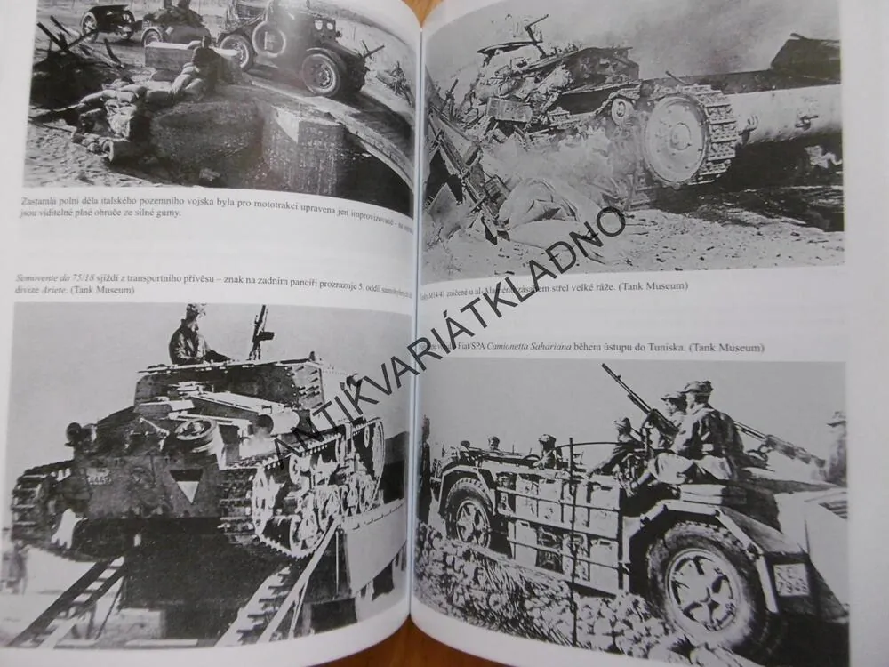OCELOVÉ KORBY, OCELOVÁ SRDCE, IAN W. WALKER,