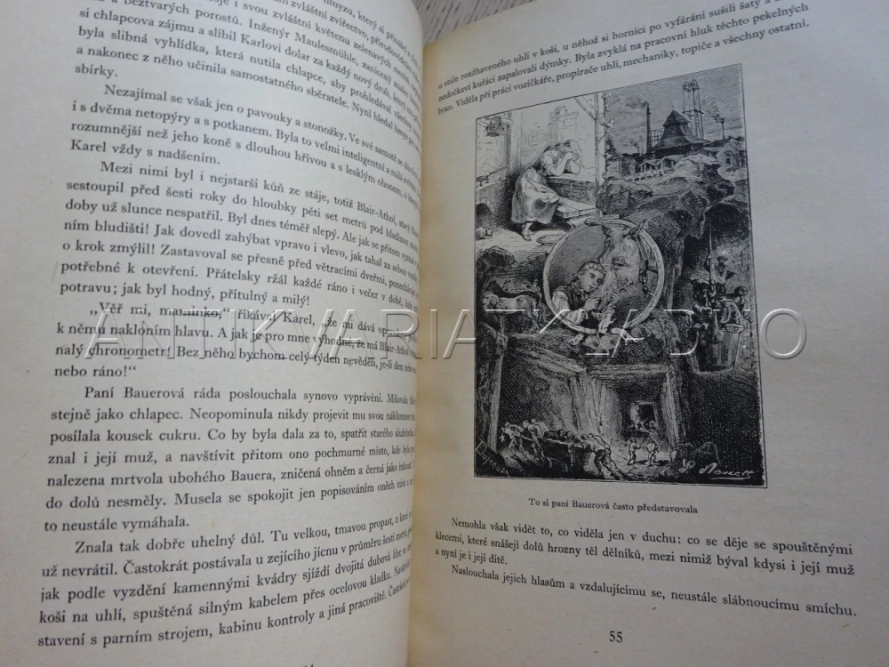 OCELOVÉ MĚSTO, JULES VERNE, **an