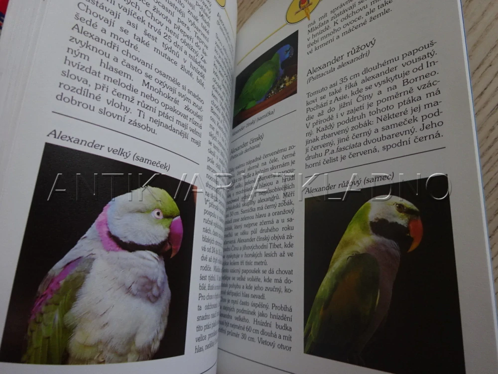 VŠECHNO O VELKÝCH PAPOUŠCÍCH, HORST BIELFELD, **an
