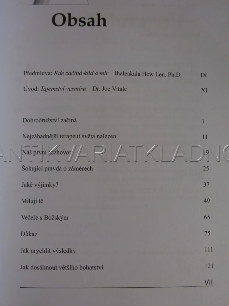 SVĚT BEZ HRANIC, JOE VITALE, **an