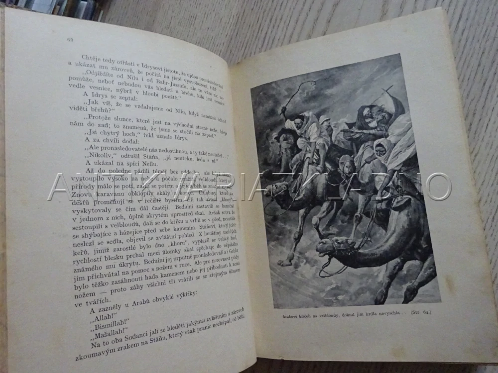 V PUSTINÁCH, HENRYK SIENKIEWICZ, **an