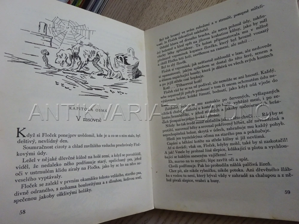 FLOČEK, PSÍ HISTORIE, JOS. HAIS TÝNECKÝ, FR. VROBEL, 1947, **an