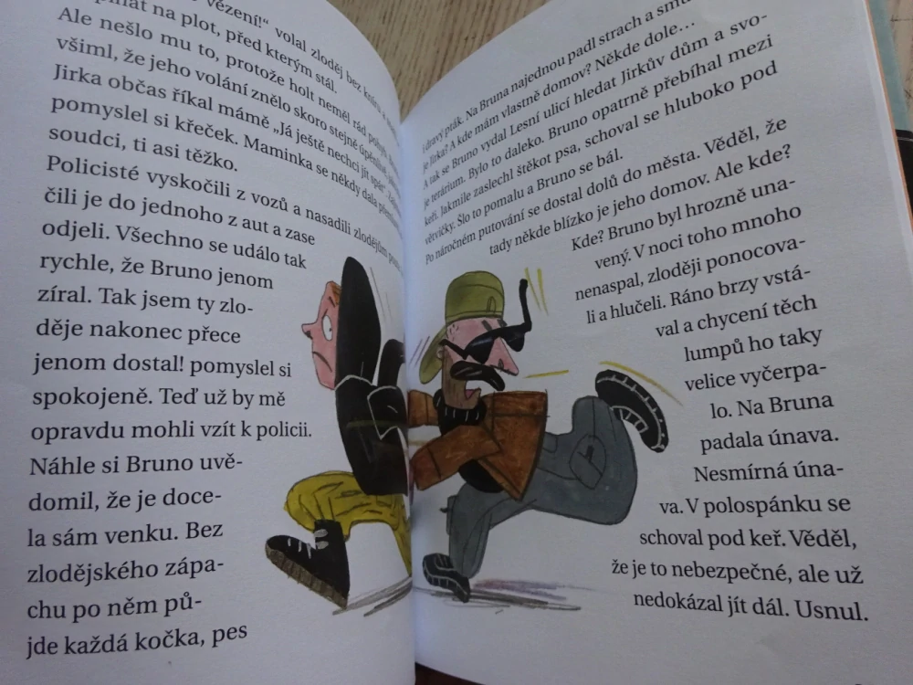 POLICEJNÍ KŘEČEK, DANIELA KROLUPPEROVÁ, **an