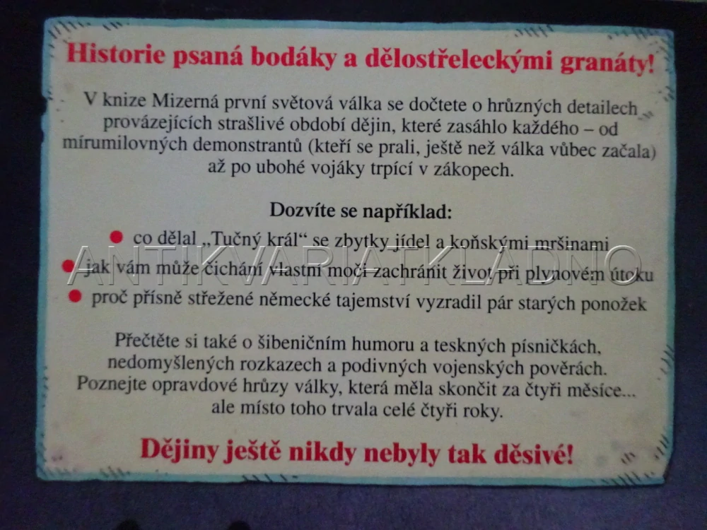 MIZERNÁ PRVNÍ SVĚTOVÁ VÁLKA, TERRY DEARY, MARTIN BROWN, **an