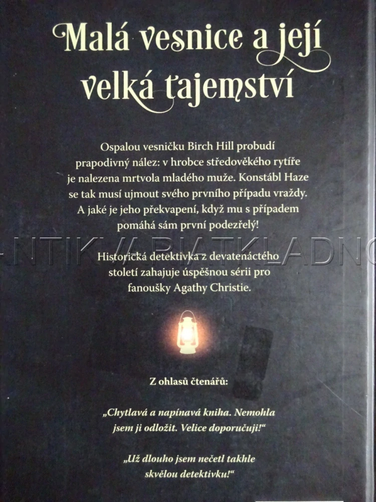 VRAŽDA V KRYPTĚ, ZÁHADY REDMONDA A HAZE 1, IRINA SHAPIRO, **an