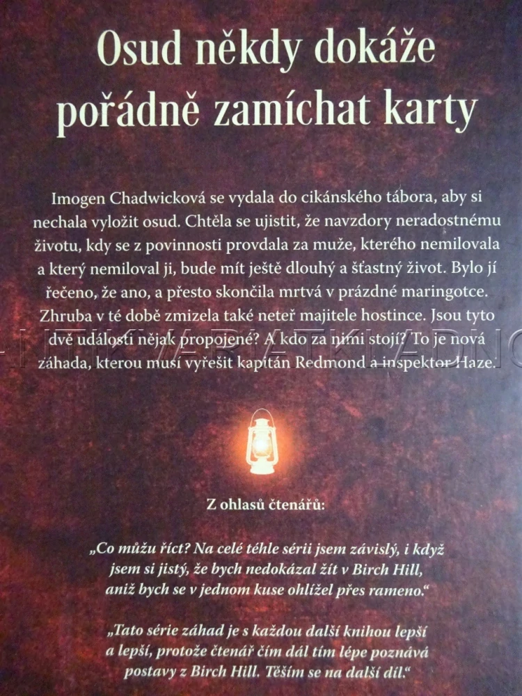 VRAŽDA V MARINGOTCE, ZÁHADY REDMONDA A HAZE 4, IRINA SHAPIRO, **an
