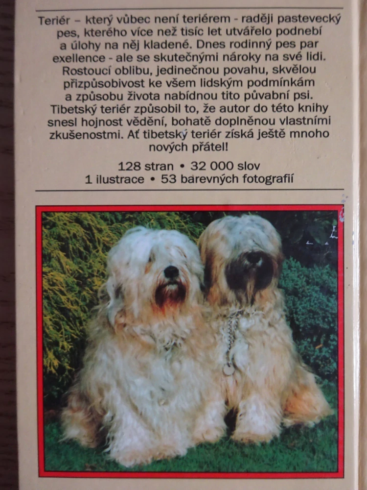 TIBETSKÝ TERIÉR, ADOLF KRASSNIGG, **an