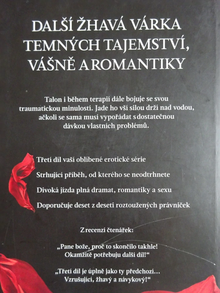 BRATŘI STEELOVÉ, ODDANOST, HELEN HARDT, **an