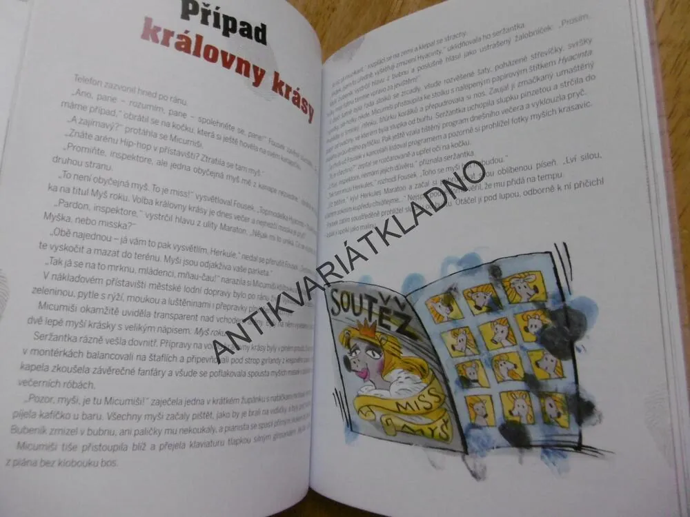 INSPEKTOR FOUSEK NA STOPĚ, LAMKOVÁ, SÝKOROVÁ, **an