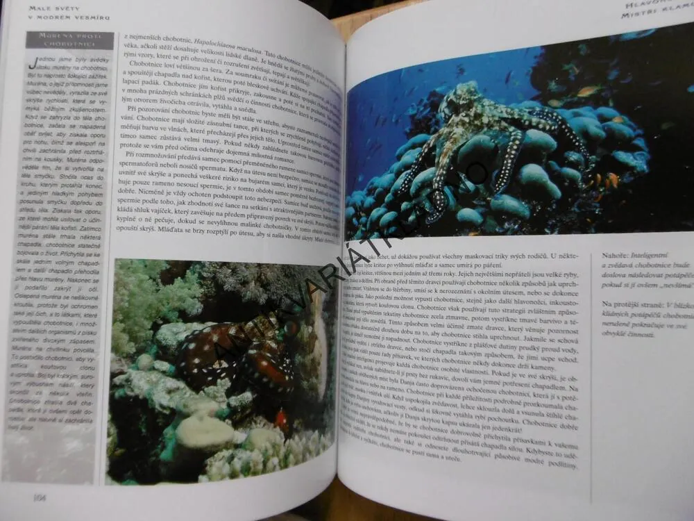 PŘÍRUČKA POTÁPĚČE, POTÁPĚNÍ NA KORÁLOVÝCH ÚTESECH, KÖHLER