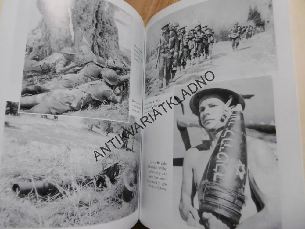 BRIGÁDA, PŘÍBĚH O ODVĚTĚ, SPASENÍ A DRUHÉ SVĚTOVÉ VÁLCE, HOWARD BLUM, **an