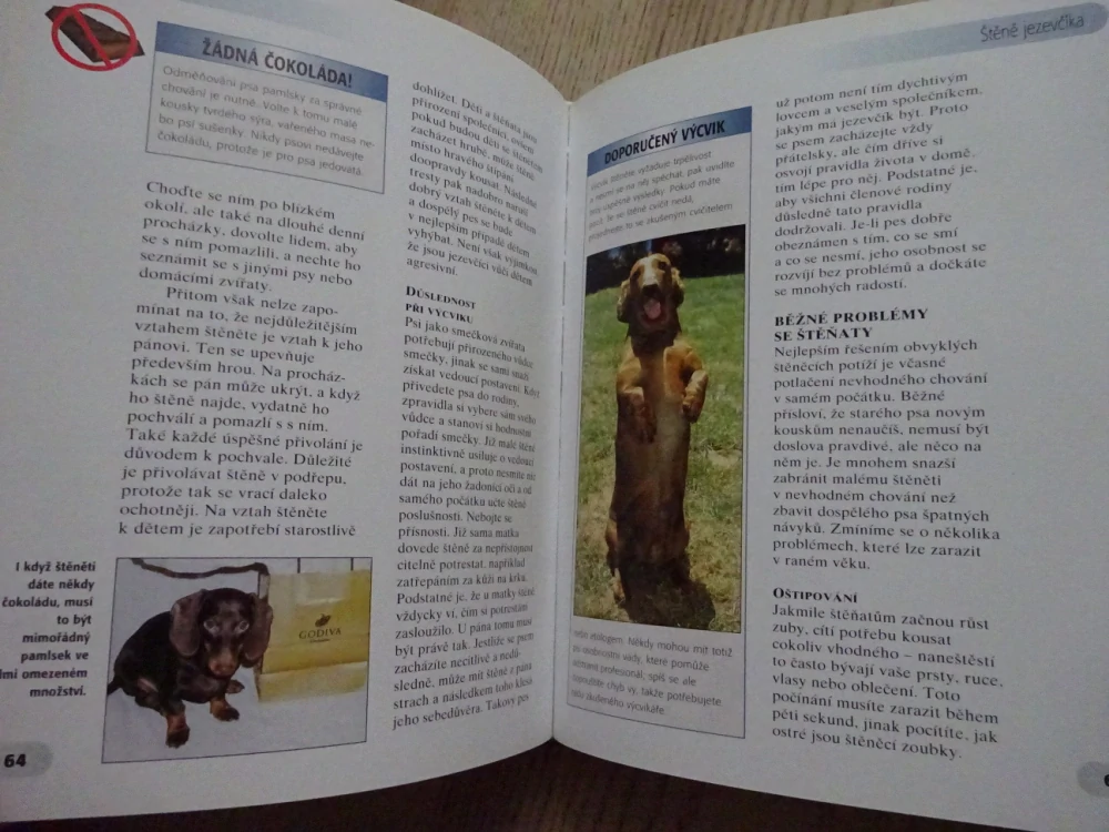 JEZEVČÍK, INGRID SCHWARTZOVÁ, **an