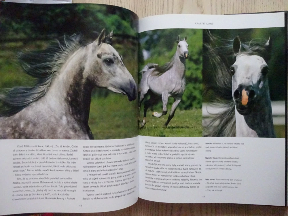 DUCH KONÍ, BOB LANGRISH, NICOLA JANE SWINNEYOVÁ, **an