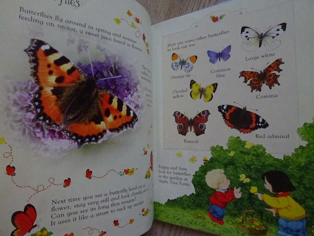 FIRST NATURE BOOK, ANGLICKY, **an