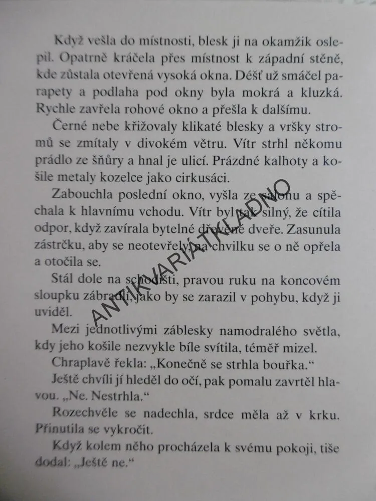 TICHÝ MUŽ, SANDRA BROWN, **an