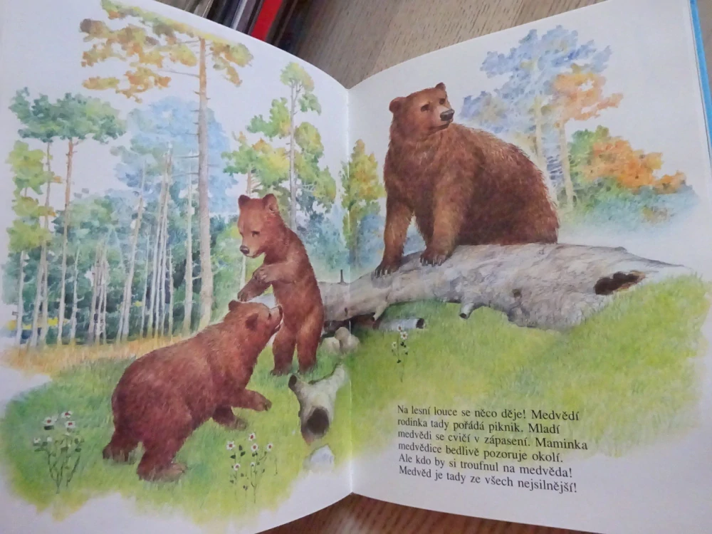 ZVÍŘÁTKA JSOU NAŠI PŘÁTELÉ, ČTENÍ O ZVÍŘÁTKÁCH S VELKÝMI PÍSMENY, **an