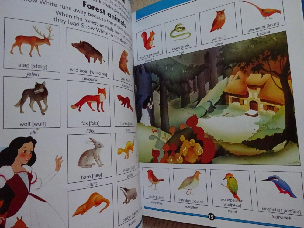 MOJE PRVNÍ KNÍŽKA ANGLIČTINY, MY FIRST WORDBOOK, DISNEY, **an
