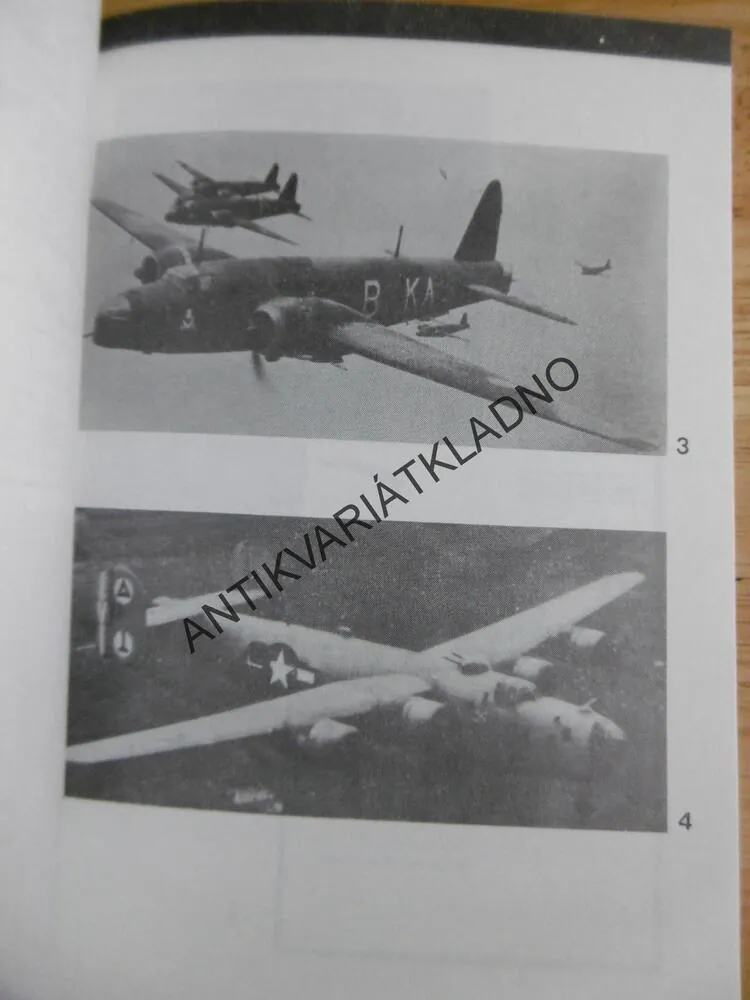 ČESKOSLOVENŠTÍ LETCI Z PARDUBICKA VE DRUHÉ SVĚTOVÉ VÁLCE, BIČÍK, NĚMEČEK
