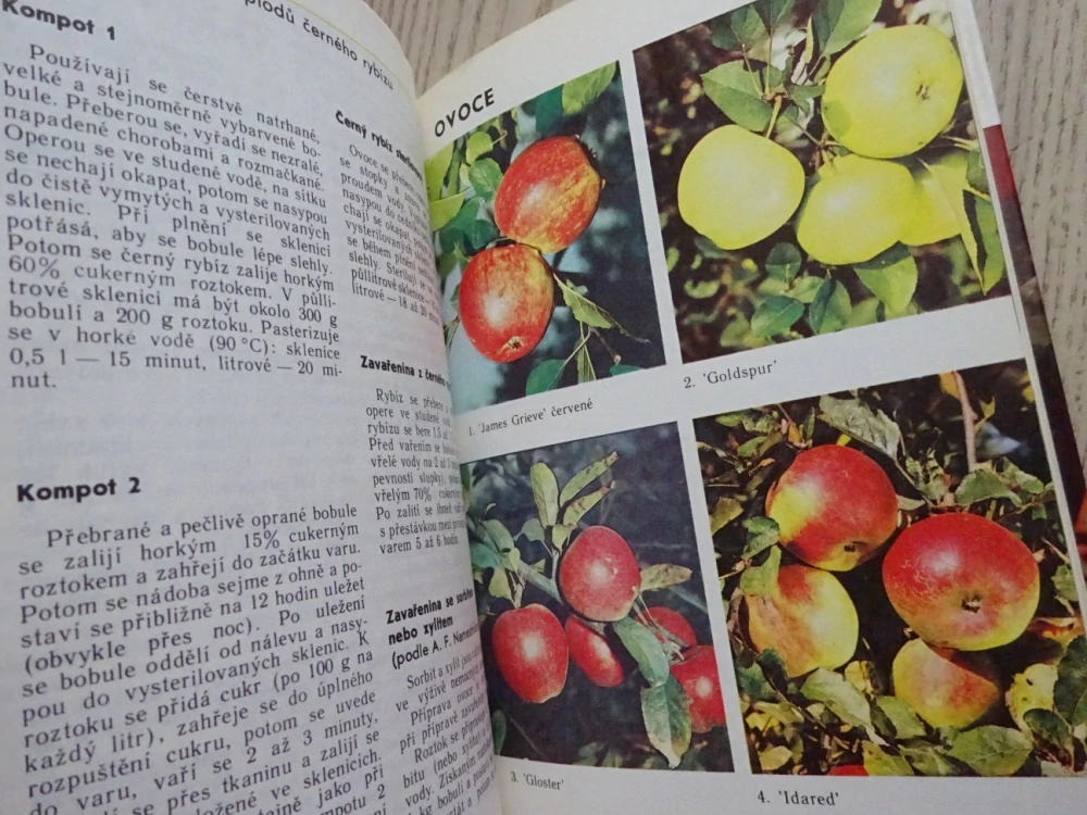 OVOCE A ZELENINA VE VÝŽIVĚ ČLOVĚKA, D. K. ŠAPIRO A KOLEKTIV, **an