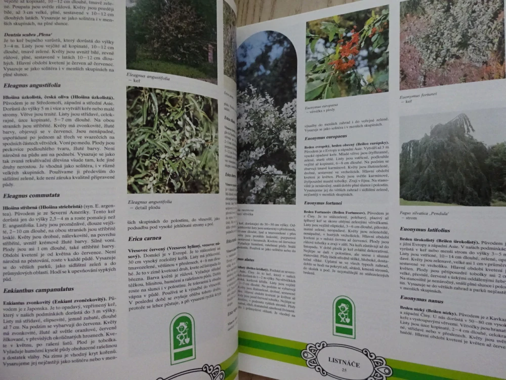 KATALOG OKRASNÝCH DŘEVIN A RŮŽÍ, **an