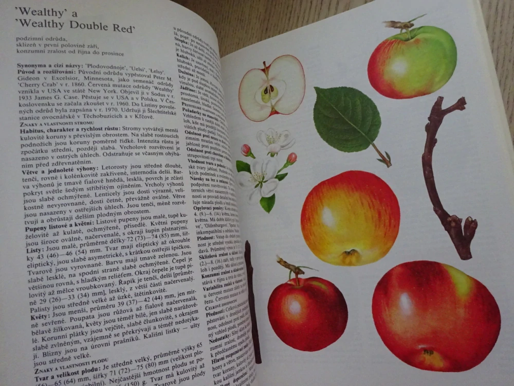 POMOLOGICKÝ ATLAS 2, JOSEF KUTINA A KOLEKTIV, **an