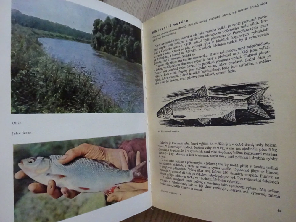 SPORTOVNÍ RYBÁŘSTVÍ, ZDENĚK ŠIMEK, **an