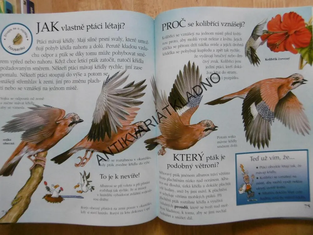 CO JEŠTĚ NEVÍTE O PŘÍRODĚ, KNIHA OTÁZEK A ODPOVĚDÍ, 