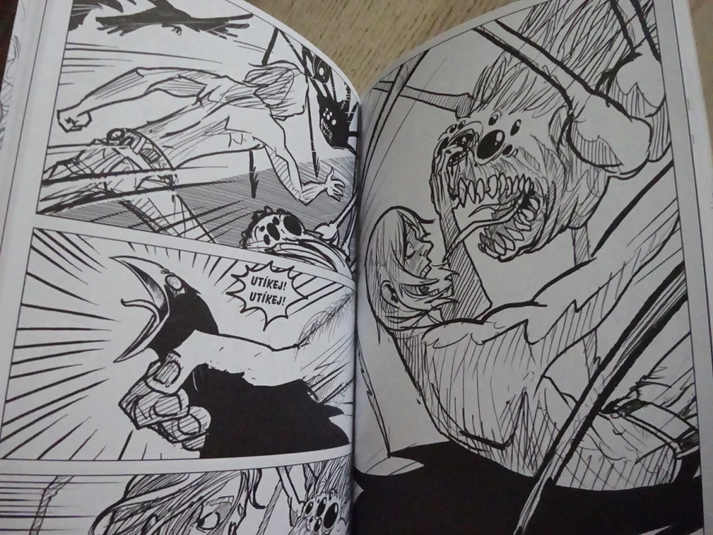 NÁVRAT DO ÚDOLÍ STÍNŮ, PETR KOPL, **an