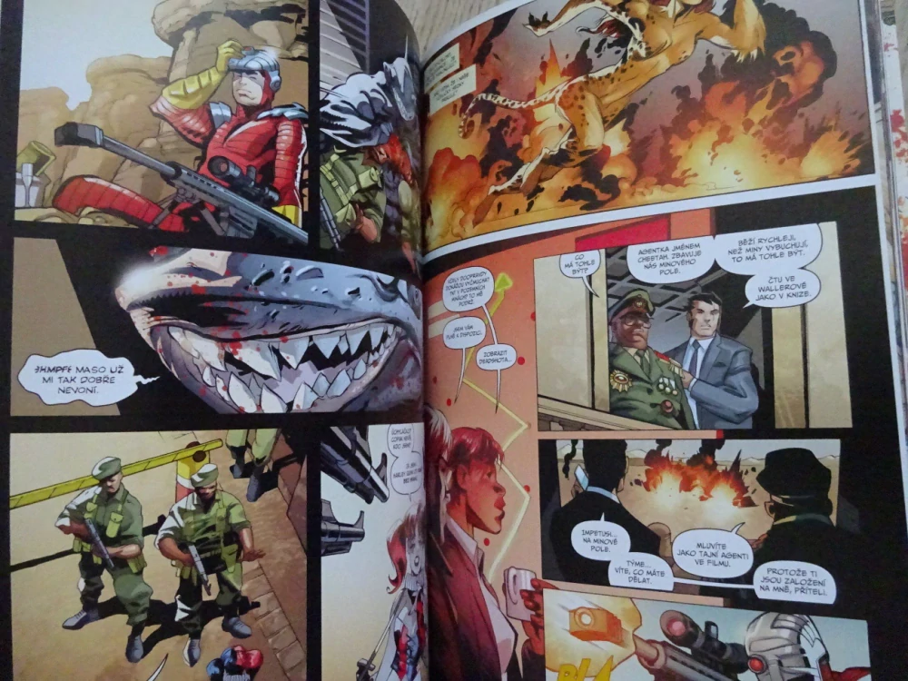 SEBEVRAŽEDNÝ ODDÍL, VÝCHOVA A TREST, KOMIKS DC COMICS, **an