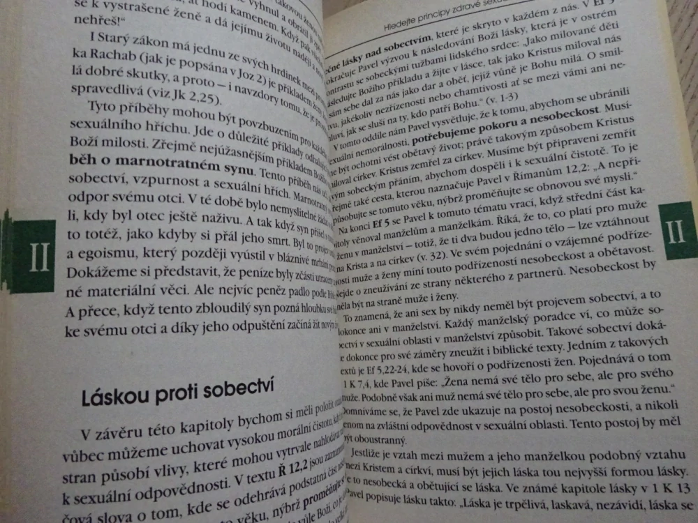 V ZAJETÍ PORNOGRAFIE, RALPH H. EARLE, MARK R. LAASER, **an