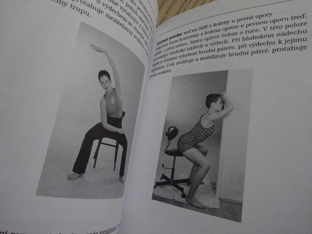 BOLESTI ZAD JAKO ŽIVOTNÍ REALITA, JEJICH PŘÍČINY, DIAGNOSTIKA, TERAPIE A PREVENCE, JAN HNÍZDIL, BLANKA BERÁNKOVÁ, **an