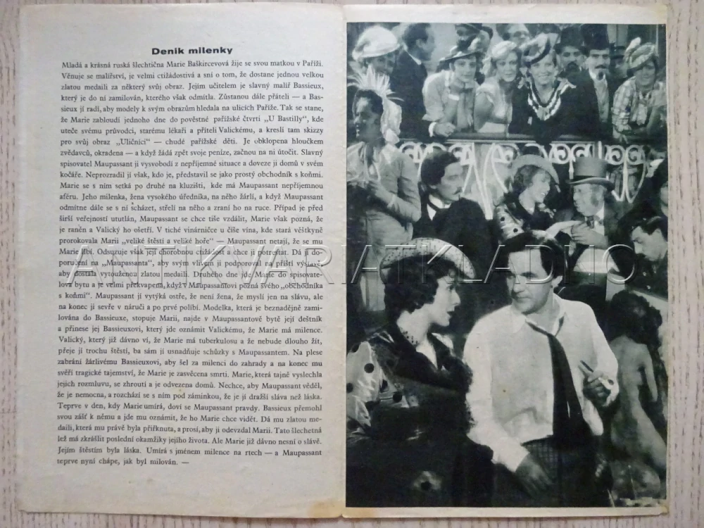 DENÍK MILENKY, H. JARAY, BIO PROGRAM Č. 310, 1935