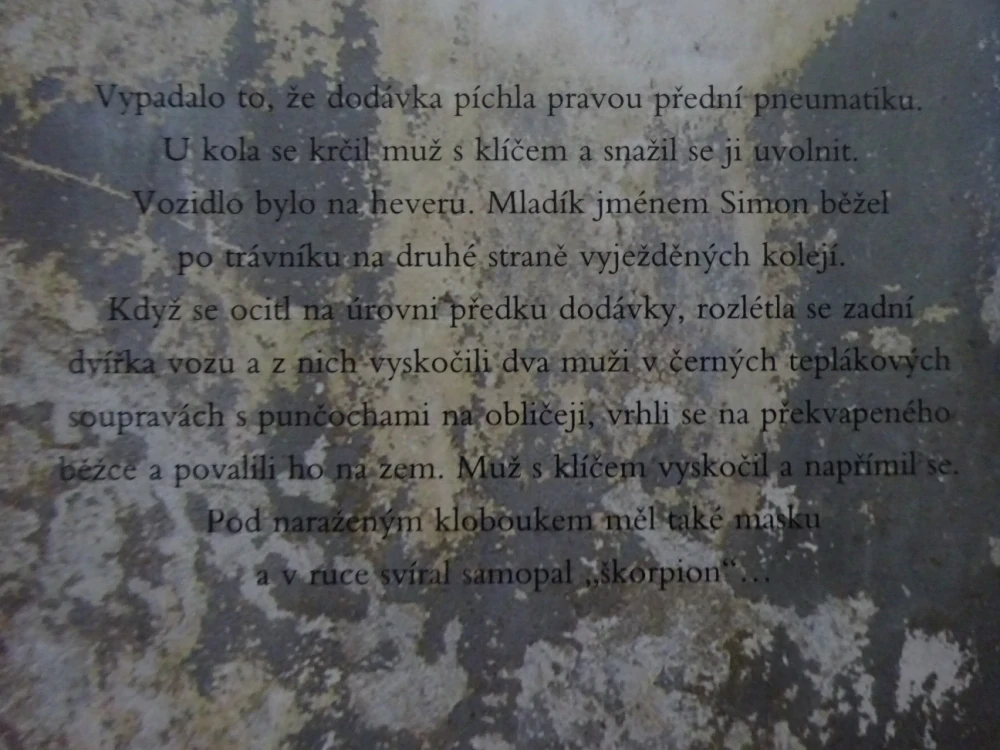 VYJEDNAVAČ, FREDERICK FORSYTH, **an