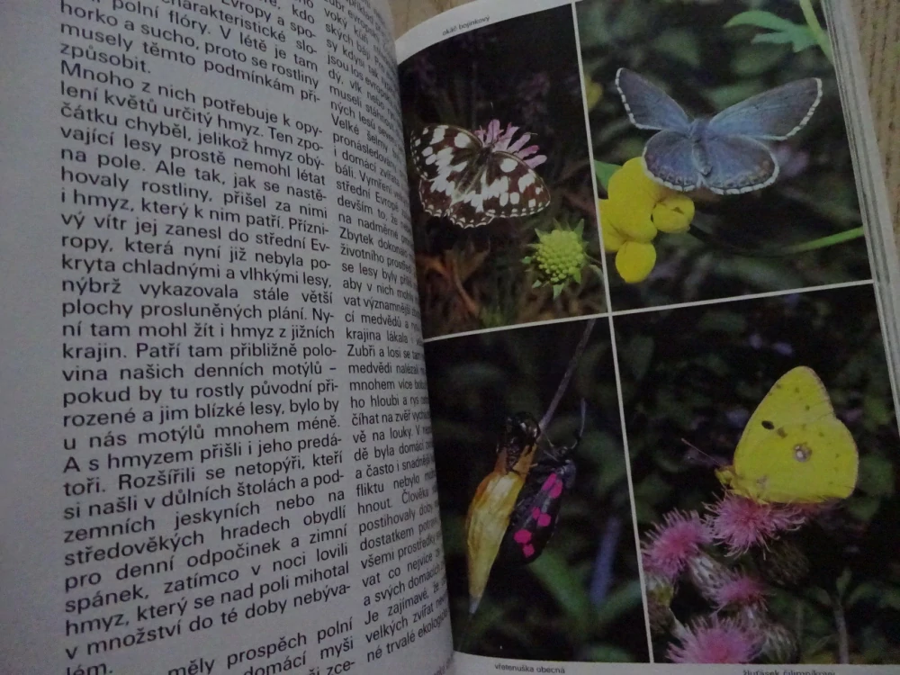 POLE A LOUKY, PRŮVODCE PŘÍRODOU, **an