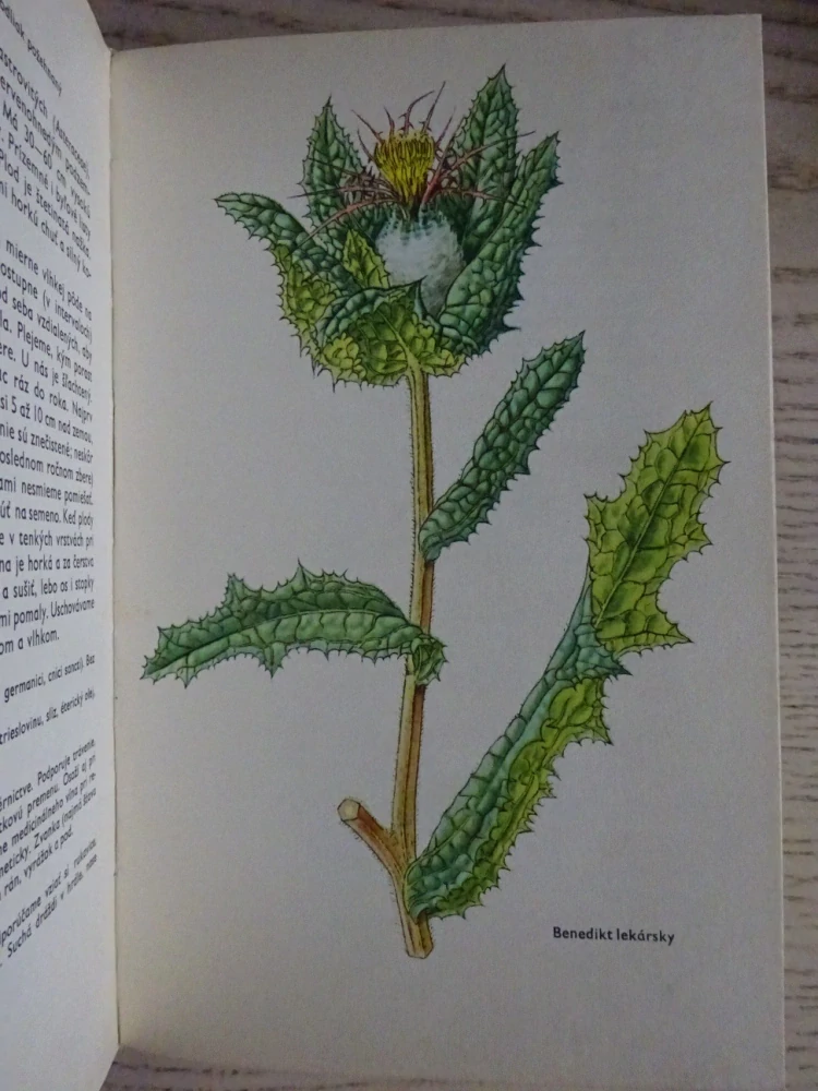 MALÝ ATLAS LIEČIVÝCH RASTLÍN, L. THURZOVÁ S KOLEKTIVOM, **an
