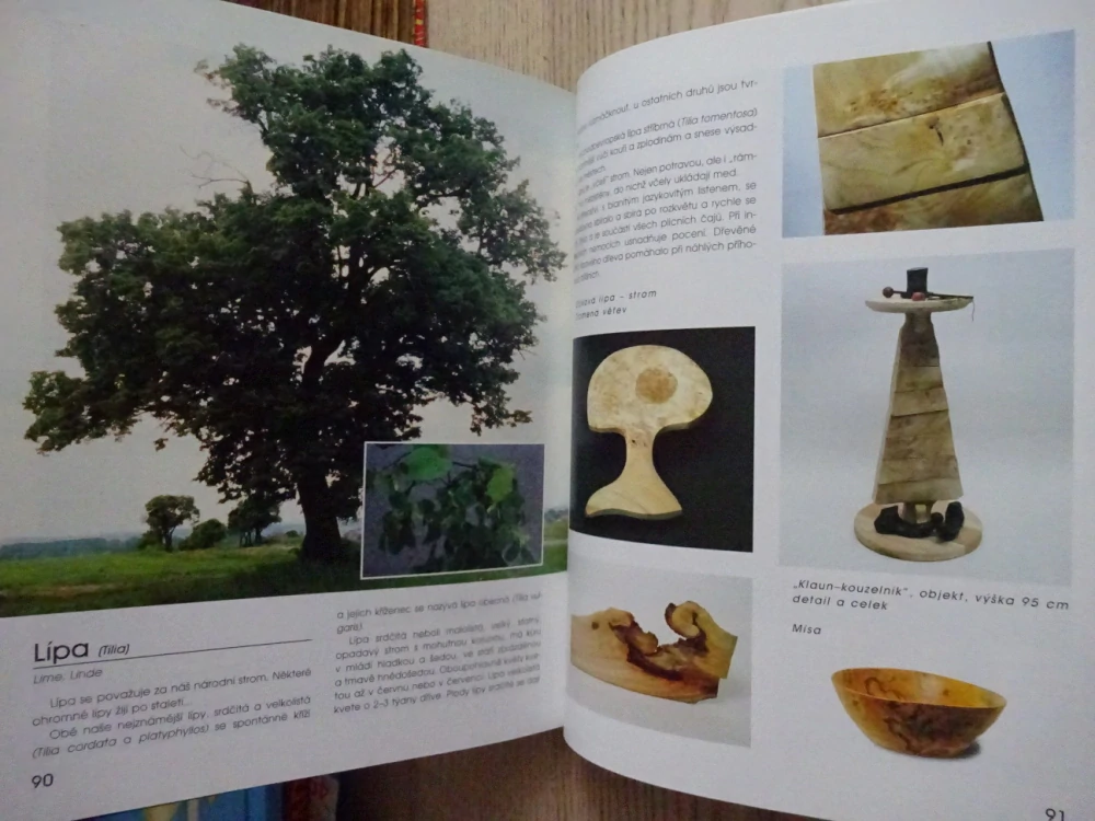 DŘEVO KRÁSNÝCH STROMŮ, MARTIN PATŘIČNÝ, **an