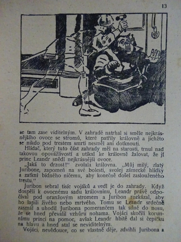 NEVIDITELNÝ PRINC A JINÉ, POHÁDKY Z CELÉHO SVĚTA SV. 13 (MNOHÉ FANTASY)